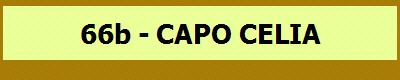 66b - CAPO CELIA