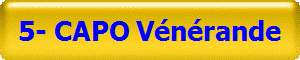 5- CAPO Vnrande